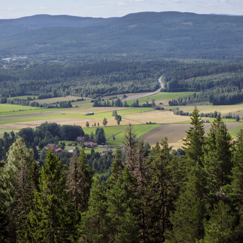 Fotograf: Johan Olsson 